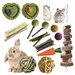 FurryFusion Ensemble de jouets de grignotage pour petits animaux