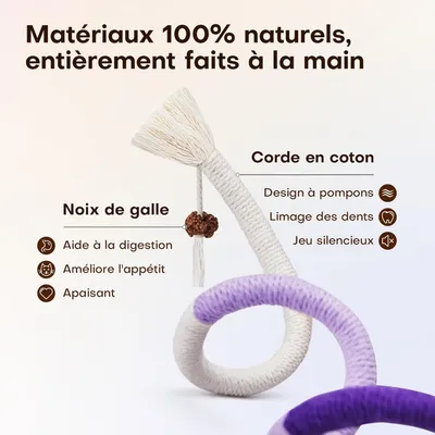 Lot de 3 Jouets à Mâcher pour Chats - Rechargeable en Herbe à Cha