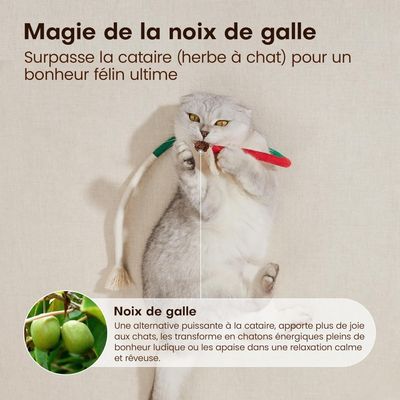MCBOSON Lot de 3 jouets herbe à chat rechargeable pour chats