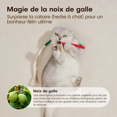 Lot de 3 Jouets à Mâcher pour Chats - Rechargeable en Herbe à Cha