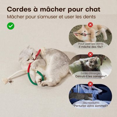 MCBOSON Lot de 3 jouets herbe à chat rechargeable pour chats