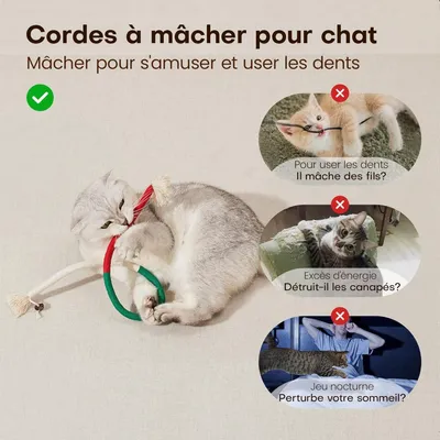 Lot de 3 Jouets à Mâcher pour Chats - Rechargeable en Herbe à Cha