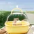 FurryFusion Cage portable pour hamster