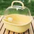FurryFusion Cage portable pour hamster