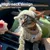FurryFusion Katzenbekleidungsset FurryFusion Katzenbekleidungsset