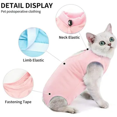 FurryFusion Sterilisationsanzug für Katzen