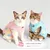 FurryFusion Sterilisationsanzug für Katzen