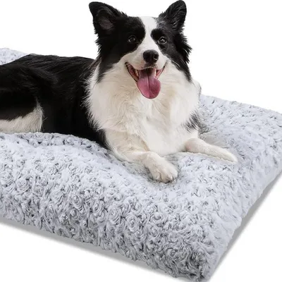 FurryFusion Hundekorb aus rosa Samt FurryFusion Hundekorb aus rosa Samt