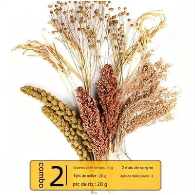 FurryFusion Grains de céréales pour hamsters