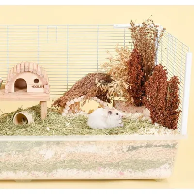 FurryFusion Grains de céréales pour hamsters