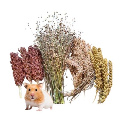 FurryFusion Grains de céréales pour hamsters
