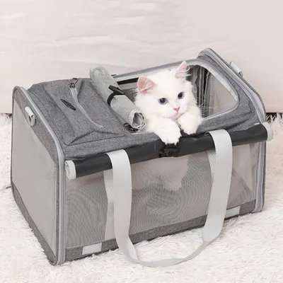 FurryFusion Sac de transport pour animaux de compagnie