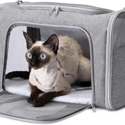 MCBOSON Homologué avion pliable gris (43x28cm) sac transport chat chien MCBOSON Homologué avion pliable gris (43x28cm) sac transport chat chien