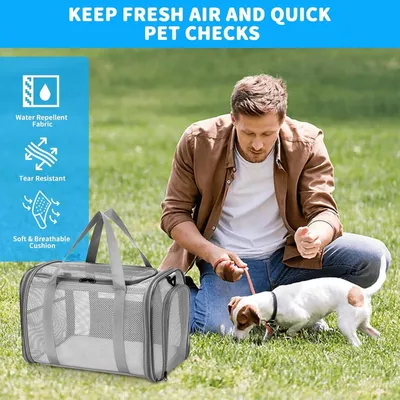 Sac Transport Chat & Petit Chien - Respirant, Pliable, 5kg, Voyage Voiture