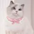 MCBOSON Collier en foulard pour chat mignon Bleu, S