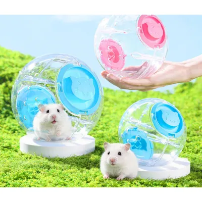 FurryFusion Boule de course pour hamster