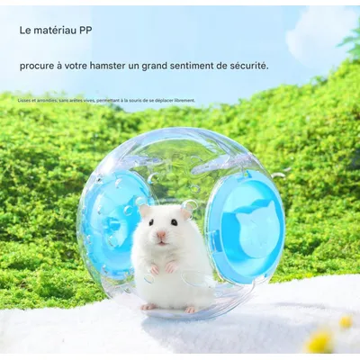 FurryFusion Boule de course pour hamster