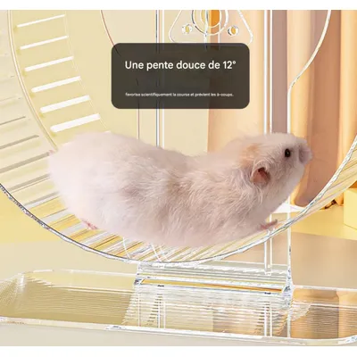 FurryFusion Roue pour hamster