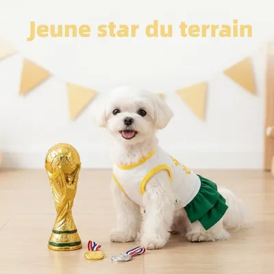 MCBOSON Entzückende Rüschenkleider für Hunde und Katzen S