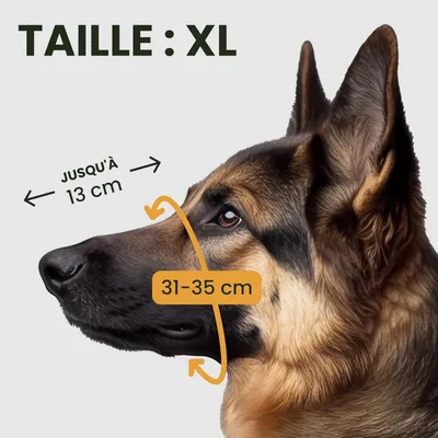 Muselière Chien Fil de Fer XL - Pour Chiens Moyens/Grands (Berger Allemand)