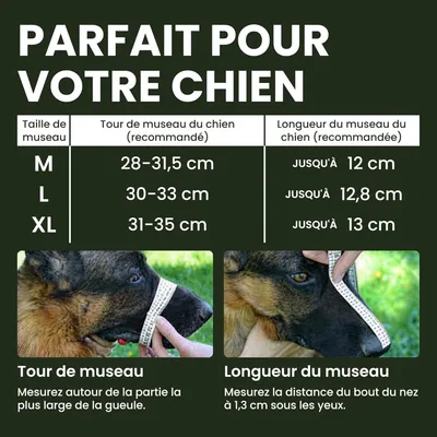 Muselière Chien Fil de Fer XL - Pour Chiens Moyens/Grands (Berger Allemand)