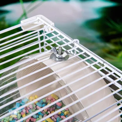 FurryFusion Nid pour oiseau et petit animal