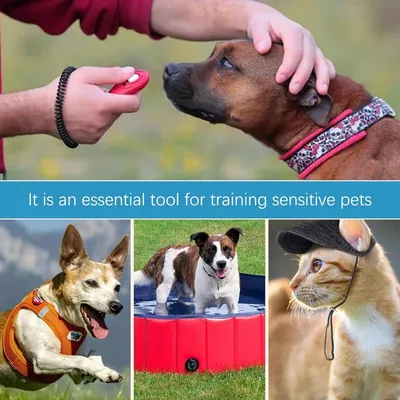 4 Clickers Dressage Animaux - 10 000 Clics, Tous Compagnons