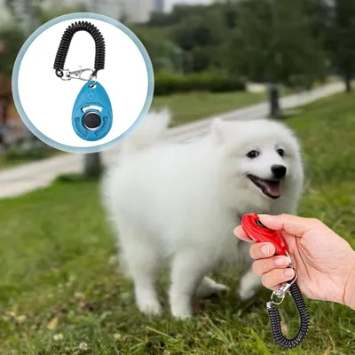 4 Clickers Dressage Animaux - 10 000 Clics, Tous Compagnons