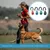 4 Clickers Dressage Animaux - 10 000 Clics, Tous Compagnons