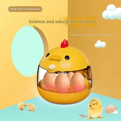 FurryFusion Incubateur d'œufs pour oiseaux domestiques