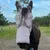 FurryFusion Masque anti - moustiques pour cheval FurryFusion Masque anti - moustiques pour cheval