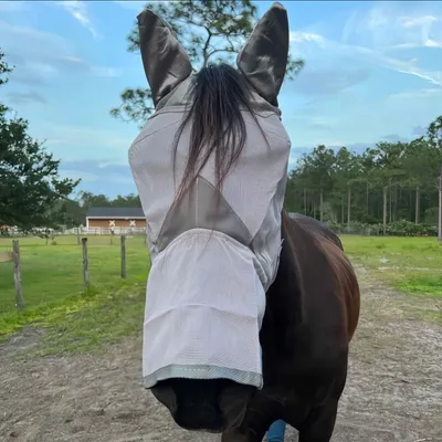 FurryFusion Masque anti - moustiques pour cheval FurryFusion Masque anti - moustiques pour cheval