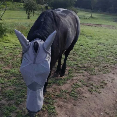 FurryFusion Masque anti - moustiques pour cheval FurryFusion Masque anti - moustiques pour cheval