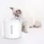 Filtre à eau pour fontaine PETKIT EVERSWEET 3.0 chat chien