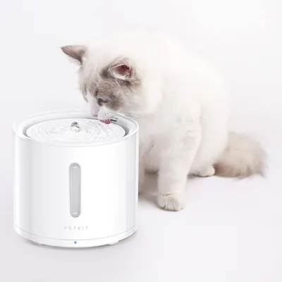 Filtre à eau pour fontaine PETKIT EVERSWEET 3.0 chat chien