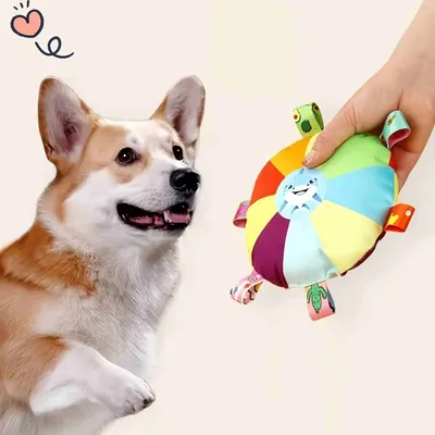 FurryFusion Disques volants en peluche pour chien