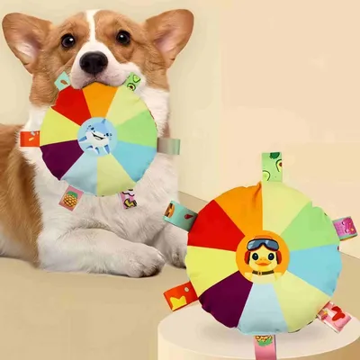 FurryFusion Disques volants en peluche pour chien