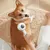 MCBOSON Brosse douche 2 en 1 silicone : nettoie et massege chien/chat.