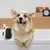 FurryFusion Balai de bain panda pour animaux de compagnie