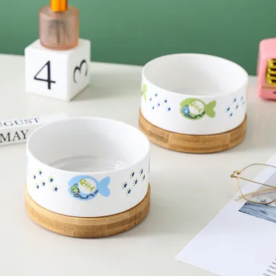 FurryFusion Bol en céramique pour chat