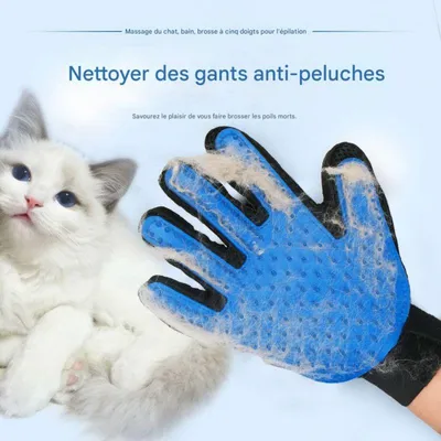 FurryFusion Gant pour peigner les chats
