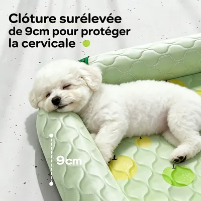 MCBOSON Tapis rafraîchissant pour chien à motif poire, vert 50×40×5.5cm