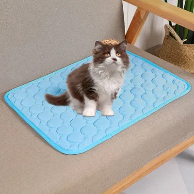 MCBOSON Coussin Refroidissant Bleu Ice Bean pour Chats & Chiens : Été Frais
