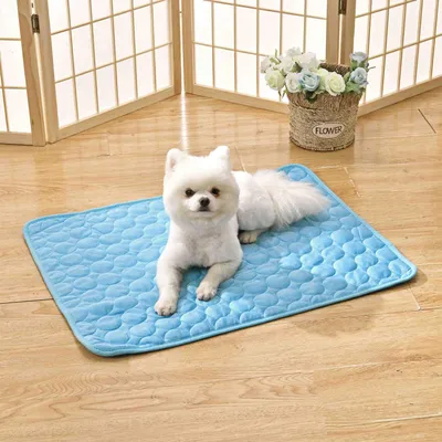 MCBOSON Coussin Refroidissant Bleu Ice Bean pour Chats & Chiens : Été Frais