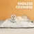 FurryFusion Matelas en peluche pour animaux de compagnie