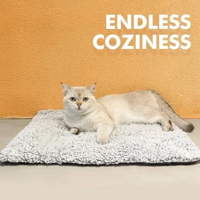 FurryFusion Matelas en peluche pour animaux de compagnie