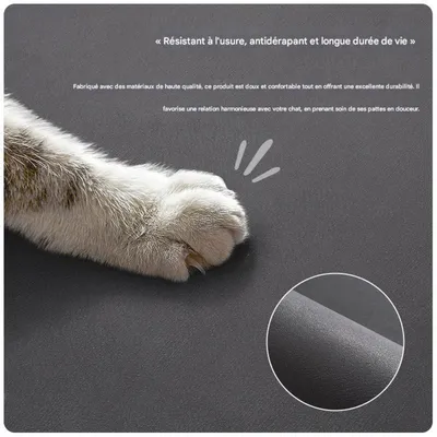 FurryFusion Tapis d'alimentation pour animaux de compagnie