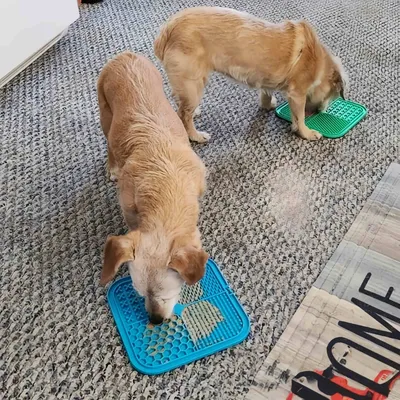 FurryFusion Nappe de léchage pour animaux de compagnie