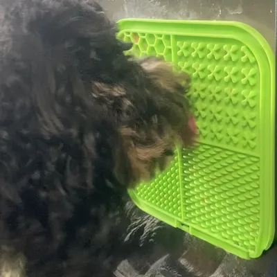 FurryFusion Nappe de léchage pour animaux de compagnie