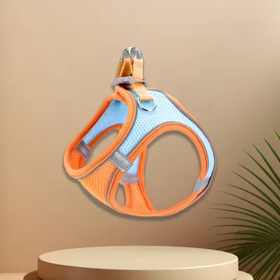 MCBOSON Harnais + Laisse Chat & Chiot : Anti-Fuite, Réglable, Confortable